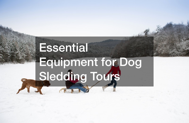 Essential Equipment for Dog Sledding Tours Twilight Guide