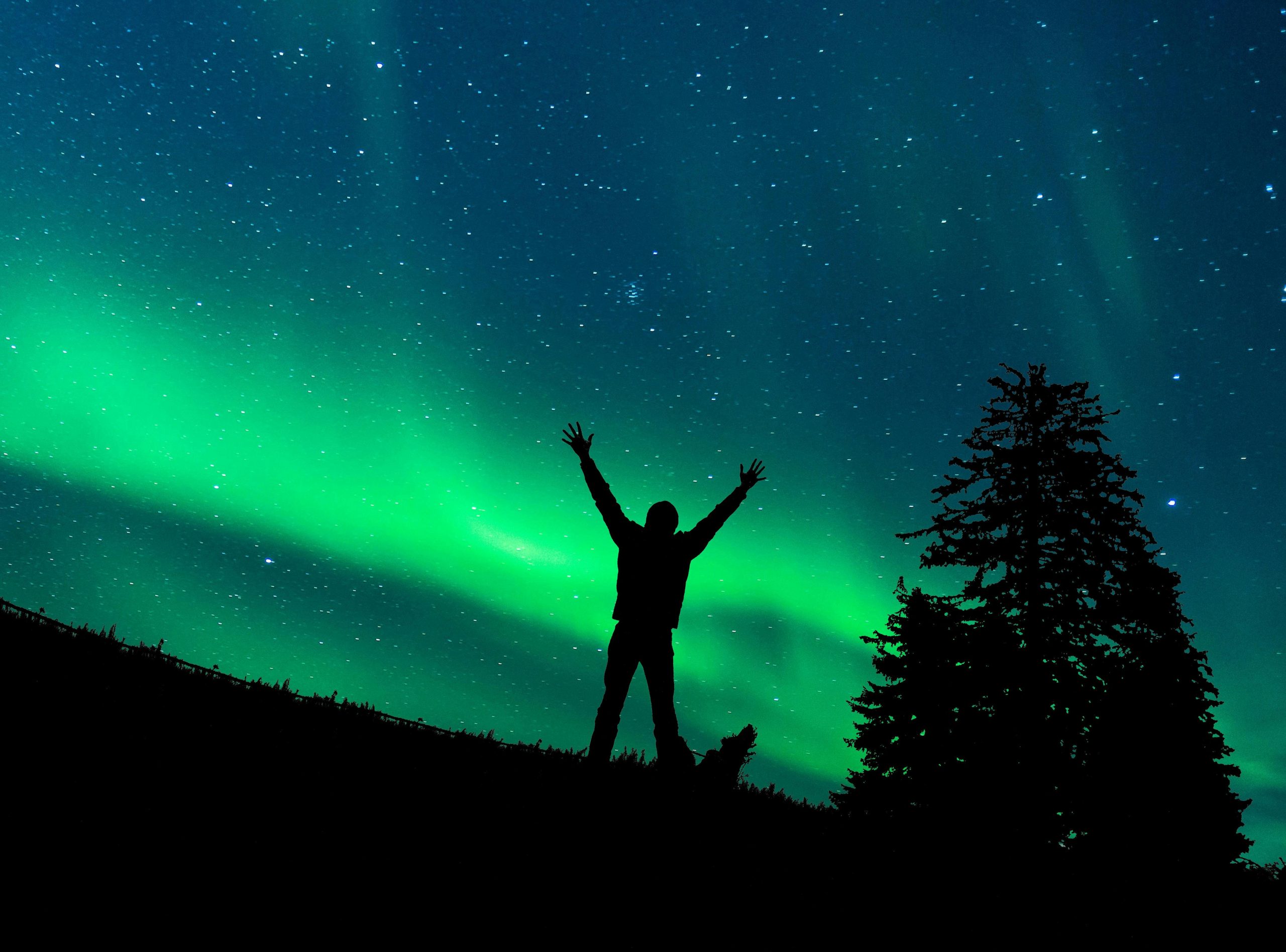 silhouette of a man with arms raised, standing beneath northern lights